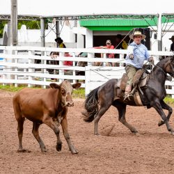 Rodeio 2017 - Provas Campeiras