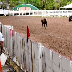 Rodeio 2017 - Provas Campeiras