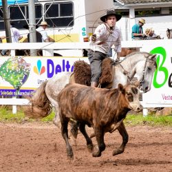 Rodeio 2017 - Provas Campeiras