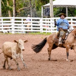 Rodeio 2017 - Provas Campeiras