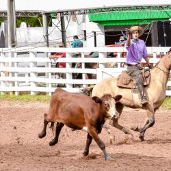 Rodeio 2017 - Provas Campeiras