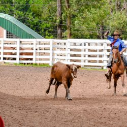 Rodeio 2017 - Provas Campeiras