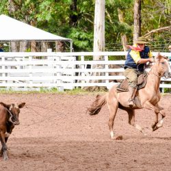 Rodeio 2017 - Provas Campeiras