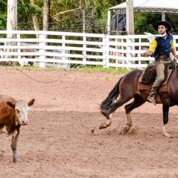 Rodeio 2017 - Provas Campeiras