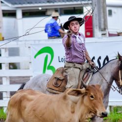 Rodeio 2017 - Provas Campeiras