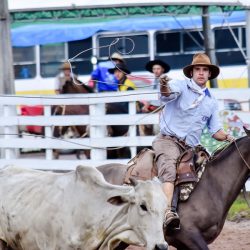 Rodeio 2017 - Provas Campeiras