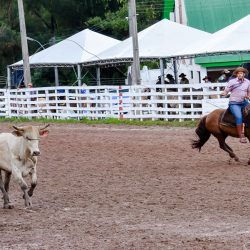 Rodeio 2017 - Provas Campeiras