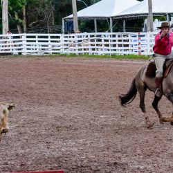 Rodeio 2017 - Provas Campeiras