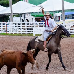 Rodeio 2017 - Provas Campeiras