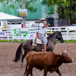 Rodeio 2017 - Provas Campeiras