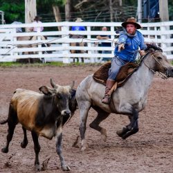 Rodeio 2017 - Provas Campeiras