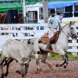 Rodeio 2017 - Provas Campeiras