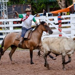 Rodeio 2017 - Provas Campeiras