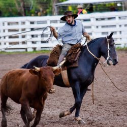 Rodeio 2017 - Provas Campeiras