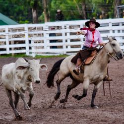 Rodeio 2017 - Provas Campeiras