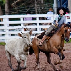 Rodeio 2017 - Provas Campeiras