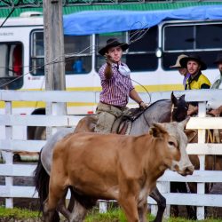 Rodeio 2017 - Provas Campeiras