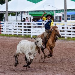 Rodeio 2017 - Provas Campeiras