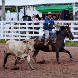 Rodeio 2017 - Provas Campeiras