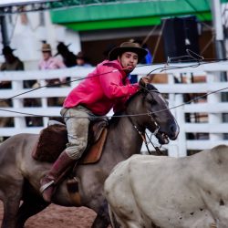 Rodeio 2017 - Provas Campeiras