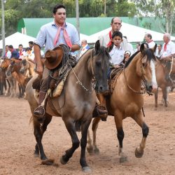Rodeio 2017 - Abertura Oficial