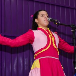 Rodeio 2017 - Provas Artíticas