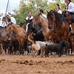 Rodeio 2017 - Abertura Oficial
