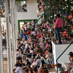 Rodeio 2017 - Abertura Oficial