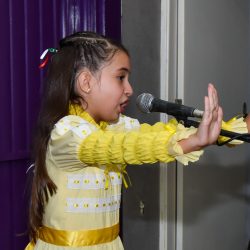 Rodeio 2017 - Provas Artíticas