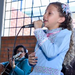 Rodeio 2017 - Provas Artíticas