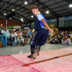 Rodeio 2017 - Provas Artíticas