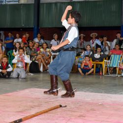 Rodeio 2017 - Provas Artíticas