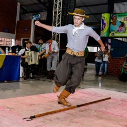 Rodeio 2017 - Provas Artíticas