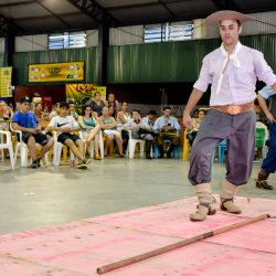 Rodeio 2017 - Provas Artíticas