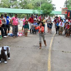 Rodeio 2017 - Provas Campeiras