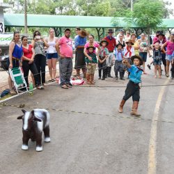 Rodeio 2017 - Provas Campeiras