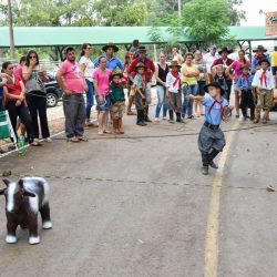 Rodeio 2017 - Provas Campeiras