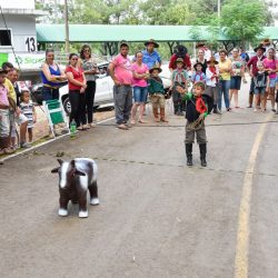 Rodeio 2017 - Provas Campeiras