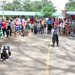 Rodeio 2017 - Provas Campeiras