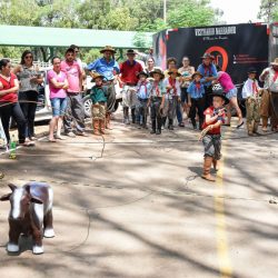 Rodeio 2017 - Provas Campeiras