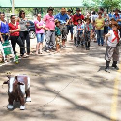 Rodeio 2017 - Provas Campeiras