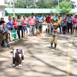 Rodeio 2017 - Provas Campeiras