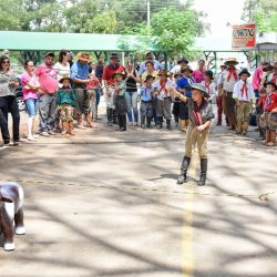 Rodeio 2017 - Provas Campeiras