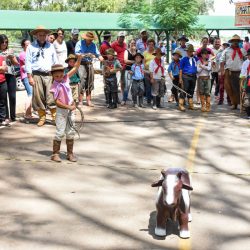 Rodeio 2017 - Provas Campeiras