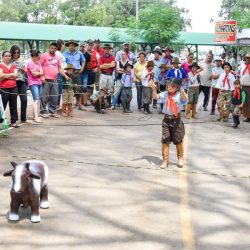 Rodeio 2017 - Provas Campeiras