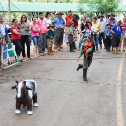 Rodeio 2017 - Provas Campeiras