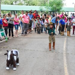 Rodeio 2017 - Provas Campeiras