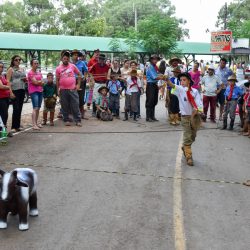 Rodeio 2017 - Provas Campeiras