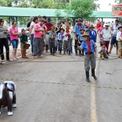 Rodeio 2017 - Provas Campeiras