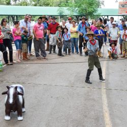 Rodeio 2017 - Provas Campeiras